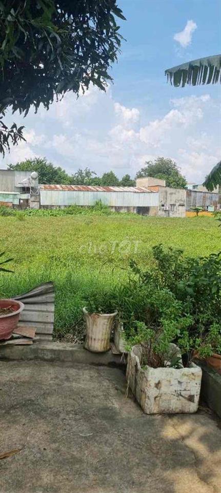 BÁN 1950 M2 ĐẤT NÔNG NGHIỆP, QUY HOẠCH ĐẤT Ở, GIÁ 7,8 tr/m2