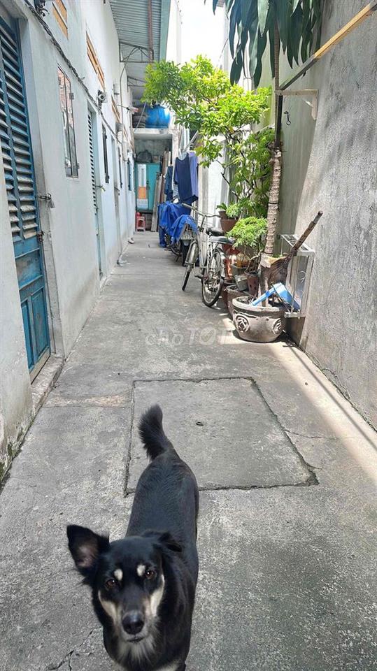 Nhà trọ gần Huflit giá 1.5tr
