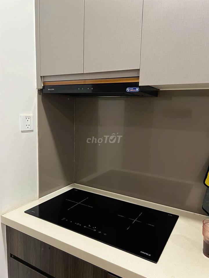 Cho thuê căn hộ LAVIDA PLUS giá 12tr