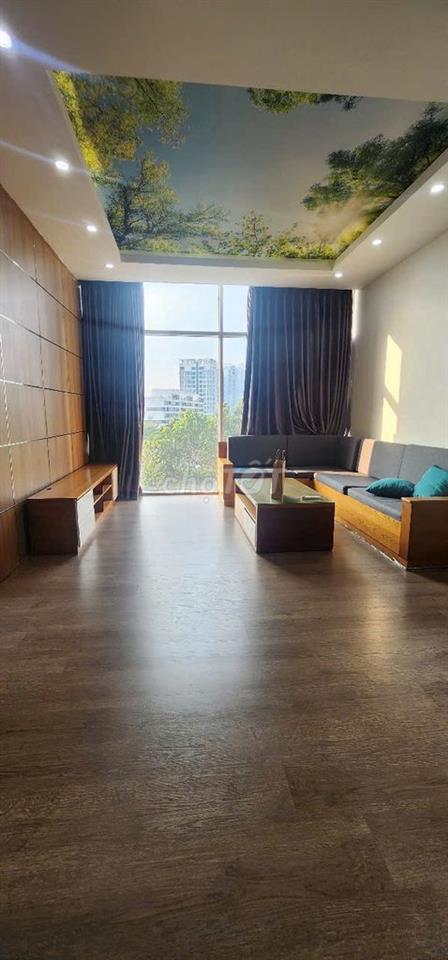 Bán căn hộ chung cư Phú Mỹ, quận 7, 3 phòng ngủ, 117m2, 6ty8