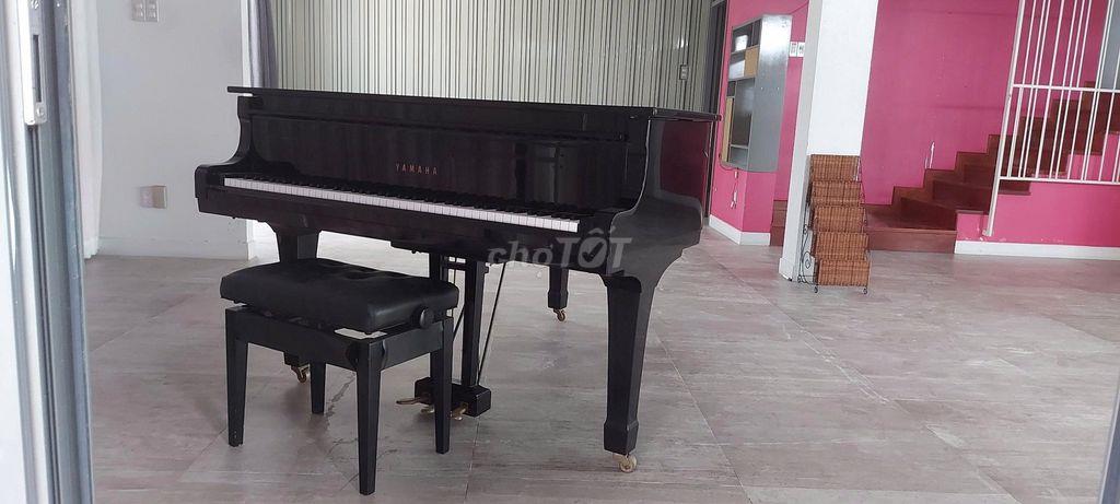Cho thuê biệt thự Phú Mỹ, quận 7, TP.Hồ Chí Minh, 5pn, 50 triệu