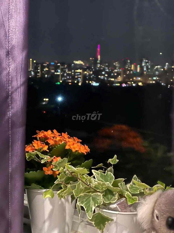 Chính chủ cho thuê ch 3pn, full nội thất, view 81