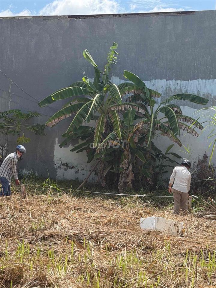 bán đất sổ riêng Long hậu giáp nhà bè