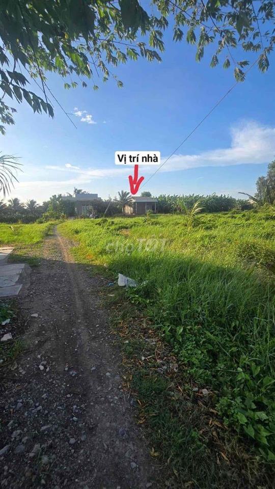 Bán đất full thổ cư Châu Thành Long An