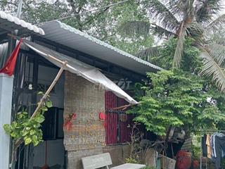 vợ chồng tôi về quê chăn nuôi 