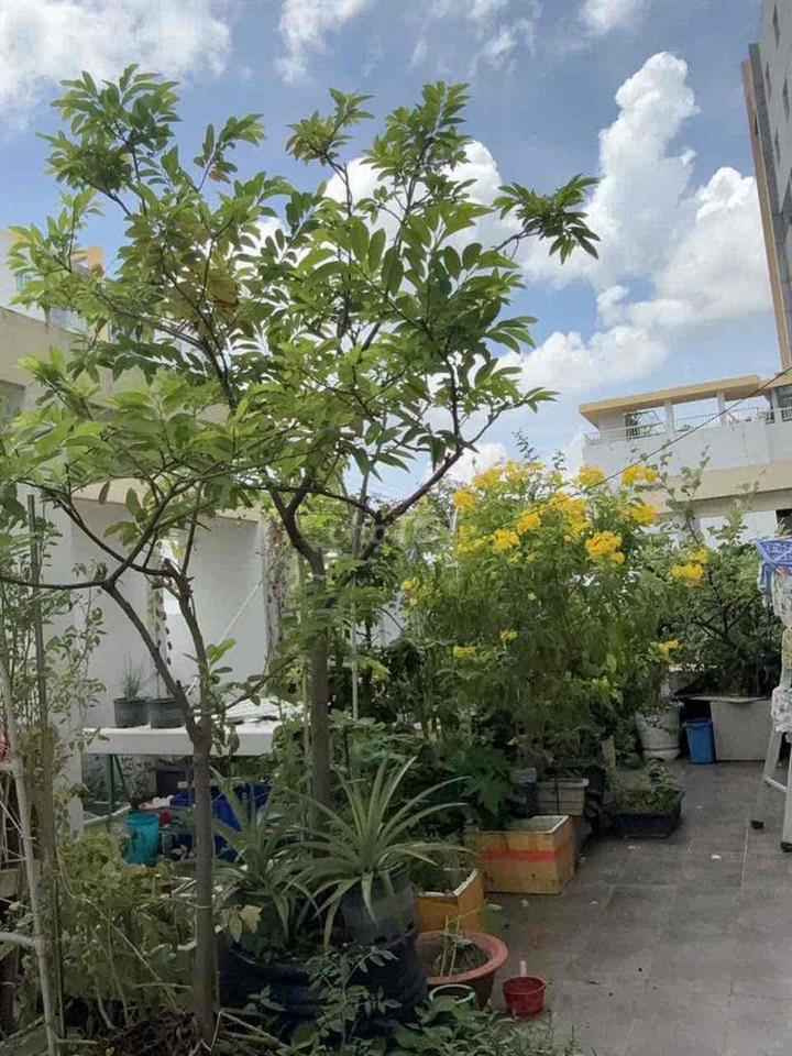 📣BÁN CH SÂN VƯỜN BELLEZA Q7✅116M2,3PN,2WC+CĂN GÓC, SÂN VƯỜN RỘNG💰6.5T🔥