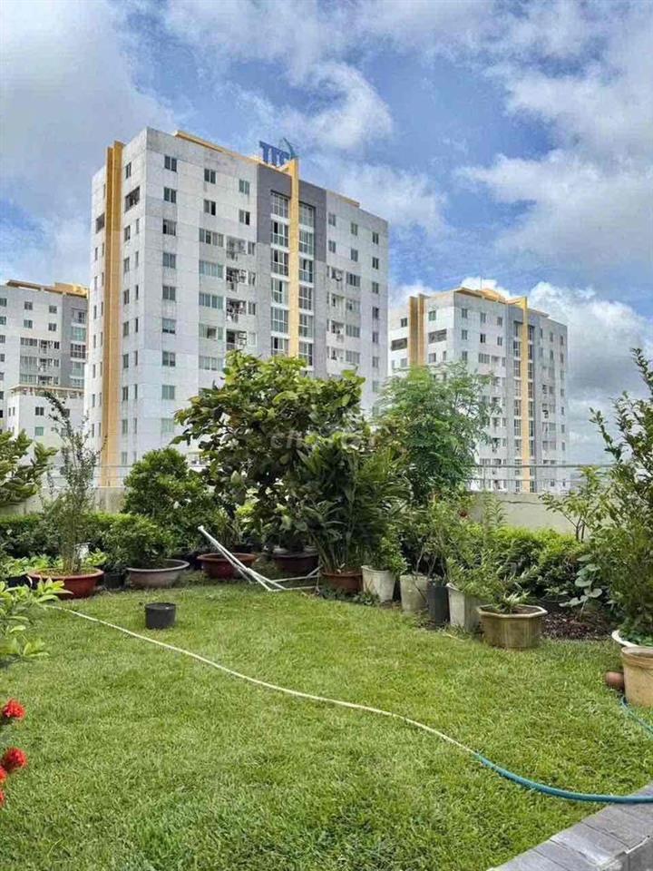 📣CHO THUÊ CH BELLEZA Q7✅76M2,2PN,2WC,CĂN GÓC,SÂN VƯỜN CHUNG💰8TR🔥🔥🔥