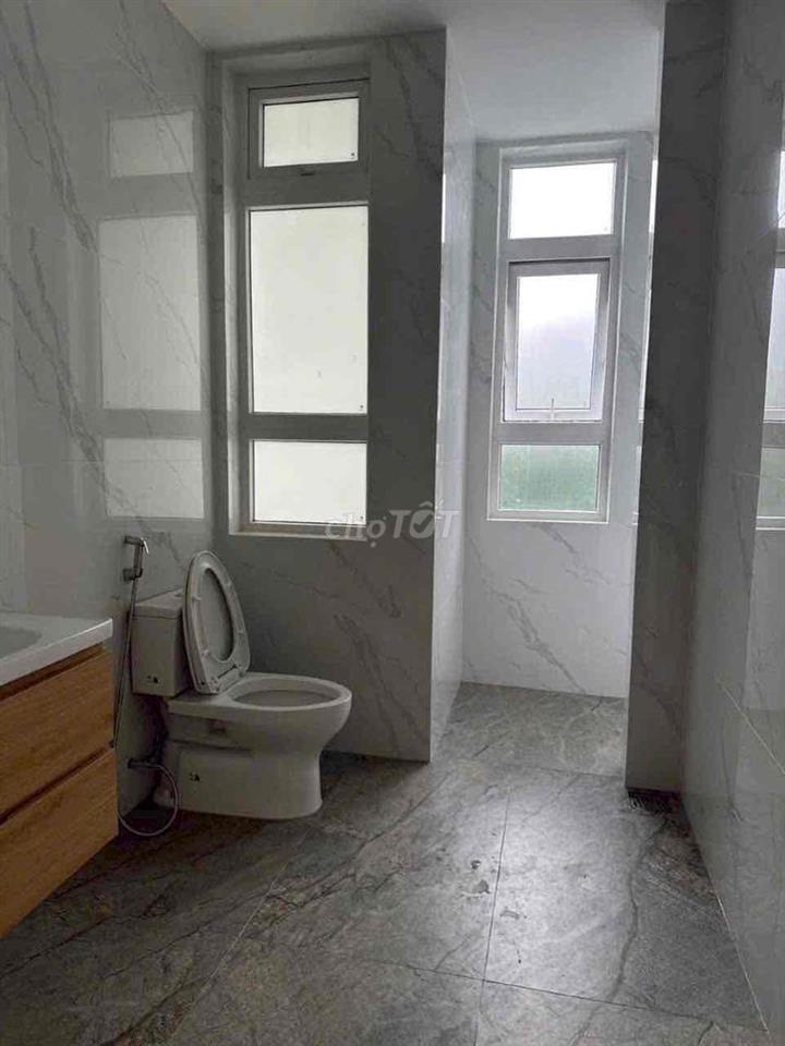 🇻🇳🇻🇳🇻🇳BIỆT THỰ CHO THUÊ NGUYỄN LƯƠNG BẰNG PMH Q7
