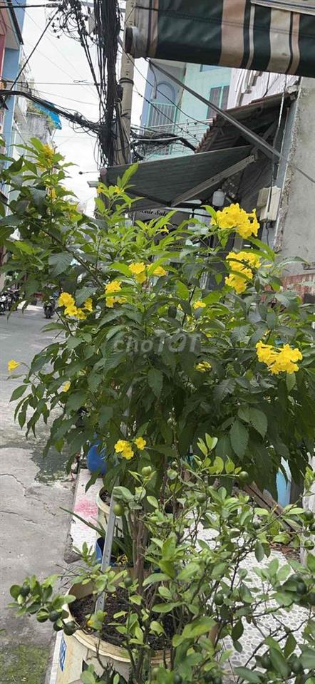nhà xưởng chuyển nhượng hoặc cho thuê
