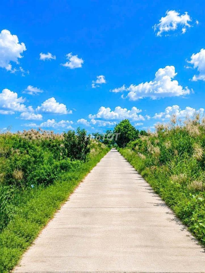 Bán đất 1117.5m2 đường XUƠNG CÁ- Ngô Quang Thắm giá 11 tỷ