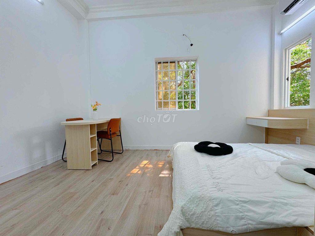 🧧CHDV PHAN XÍCH LONG - HOÀNG SA TRƯỜNG SAO