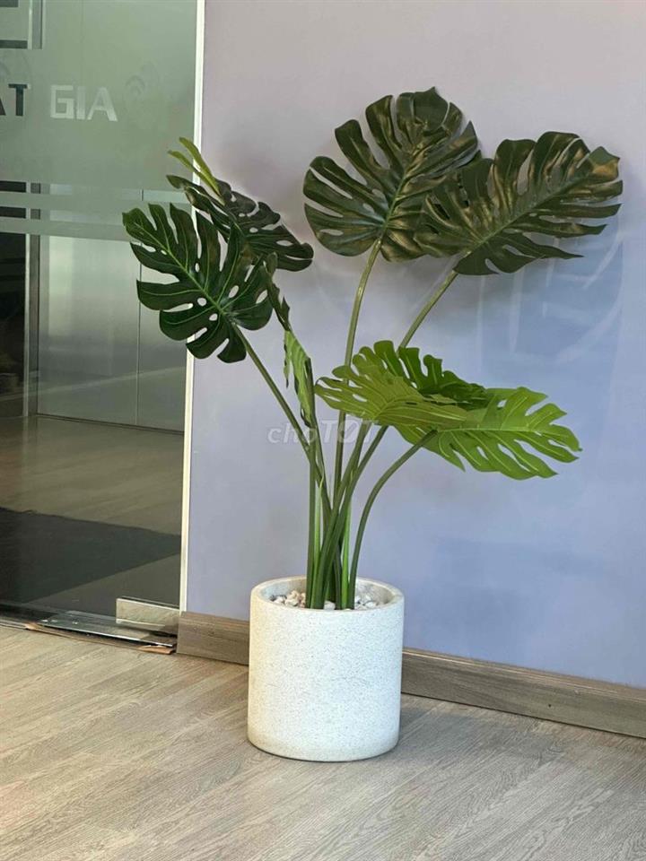 PHÒNG QUẬN 6 – FULL NỘI THẤT – GẦN CHỢ