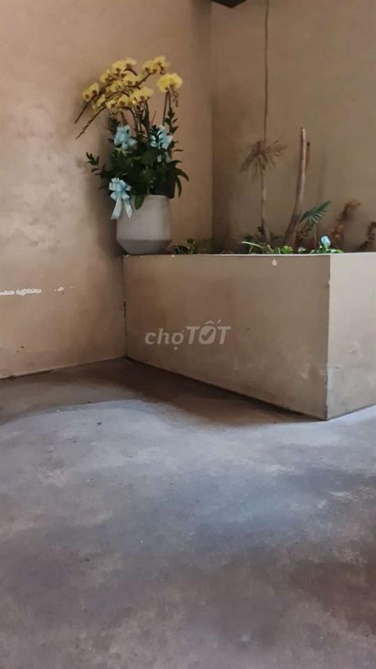 mặt tiền hoa cúc buôn bán đông đúc.