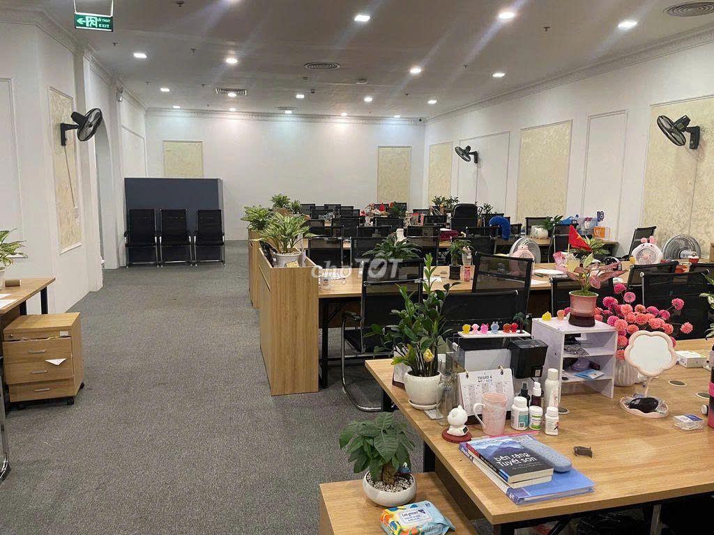🏬 TÒA NHÀ MT TRƯƠNG QUỐC DUNG_7x20m_HẦM TRỆT 5 LẦU, THANG MÁY, PCCC.