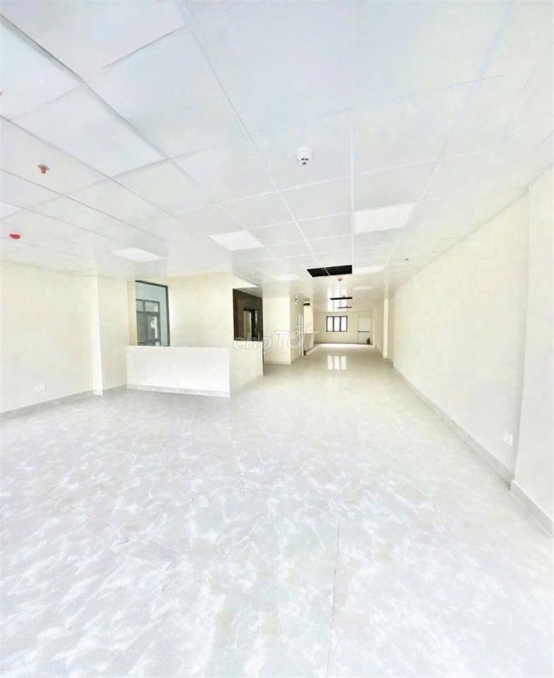 SIÊU PHẨM KHU VIP PHAN XÍCH LONG  - 44C Hoa Lan, P.2, PN – DTSD 500m2