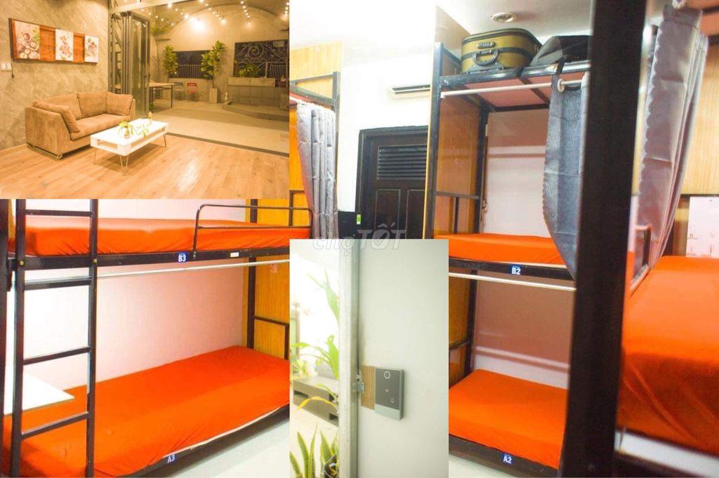 Đại học Mở Võ Văn Tần Nguyễn Đình Chiểu Phòng ghép Sinh viên Văn phòng