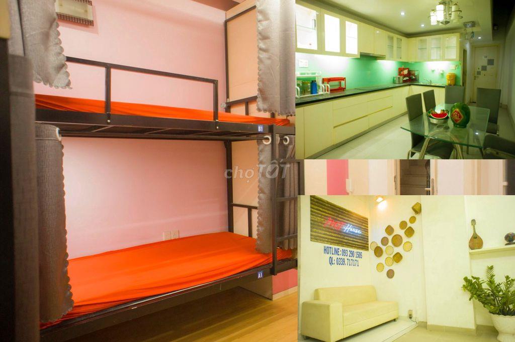 Phòng ghép Đại học Y Dược UMP Hồng Bàng Sinh viên Văn phòng Ngành Y