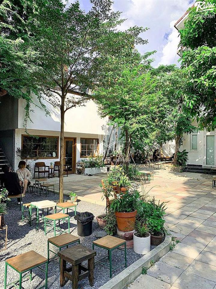 🏡 Nhà sân vườn rộng 1000m2 Hoàng Hoa Thám, Bình Thạnh