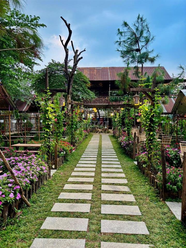 ☕ Khu tổ hợp ăn uống Coffee 7.500m², Tô Ký, Quận 12