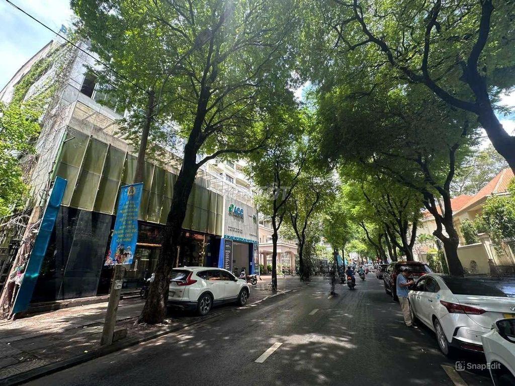 🌿Biệt Thự Nguyễn Du 11.5x34m P. Sài Gòn, Đối Diện Dinh Độc Lập