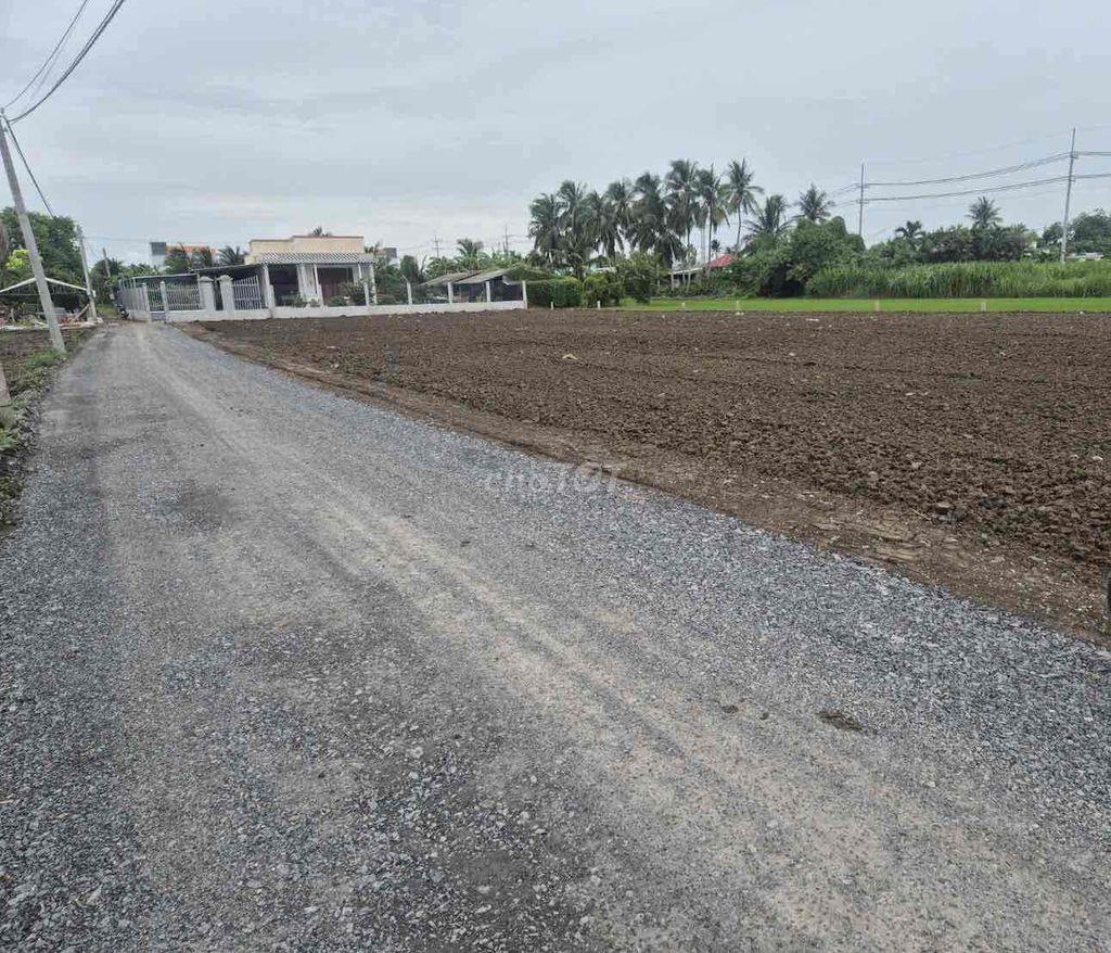 Đất thổ cư 350triệu Gò Công Tây Tiền Giang