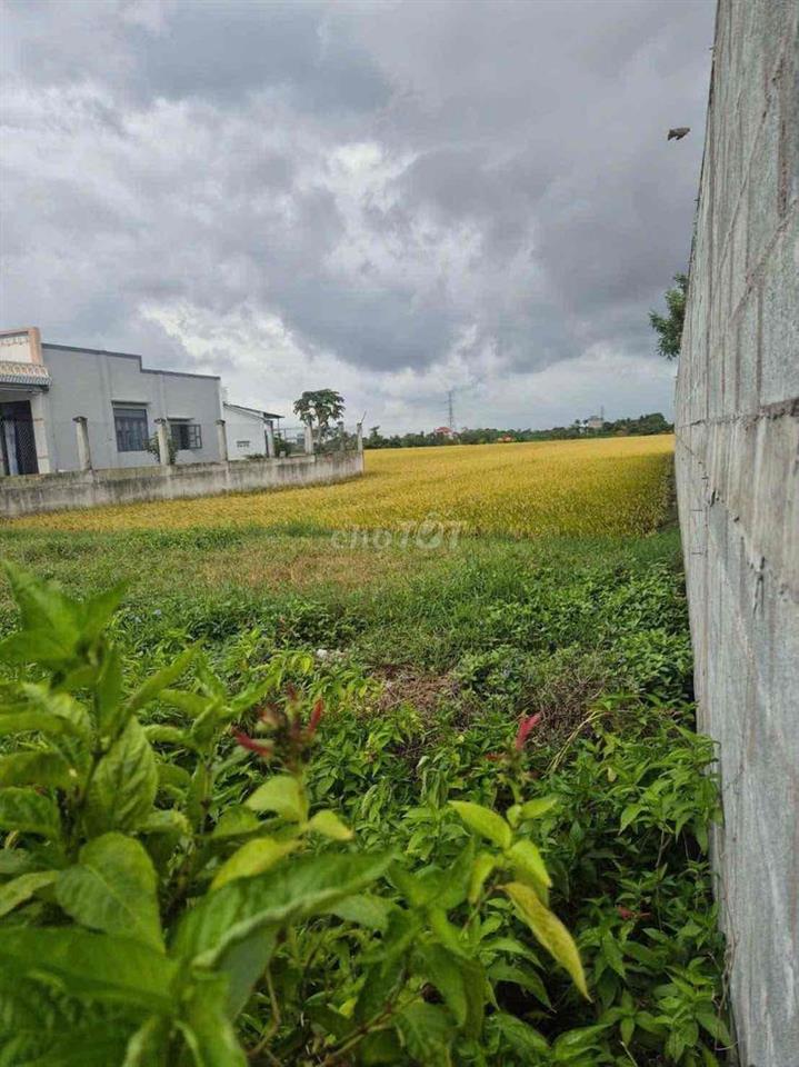 Đất mặt tiền 320mv 690 triệu 100 thổ cư gò công tây tiền giang