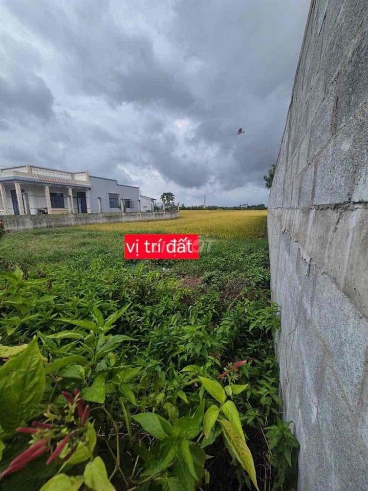 Đất mặt tiền 320mv 690 triệu 100 thổ cư gò công tây tiền giang