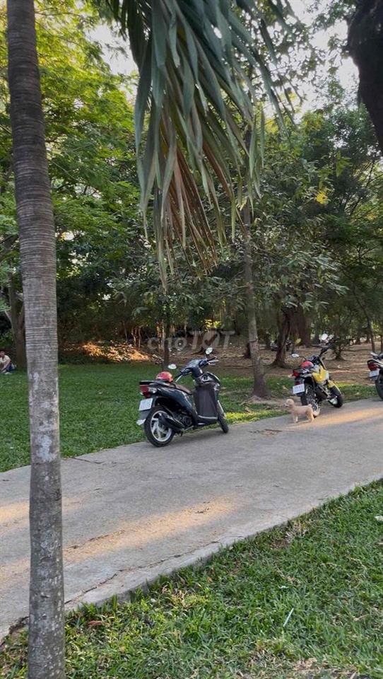 Nhà xây Biệt Thự, DT: 8x23 184m2, 2 MT, View Công Viên, Giảm 5 tỷ