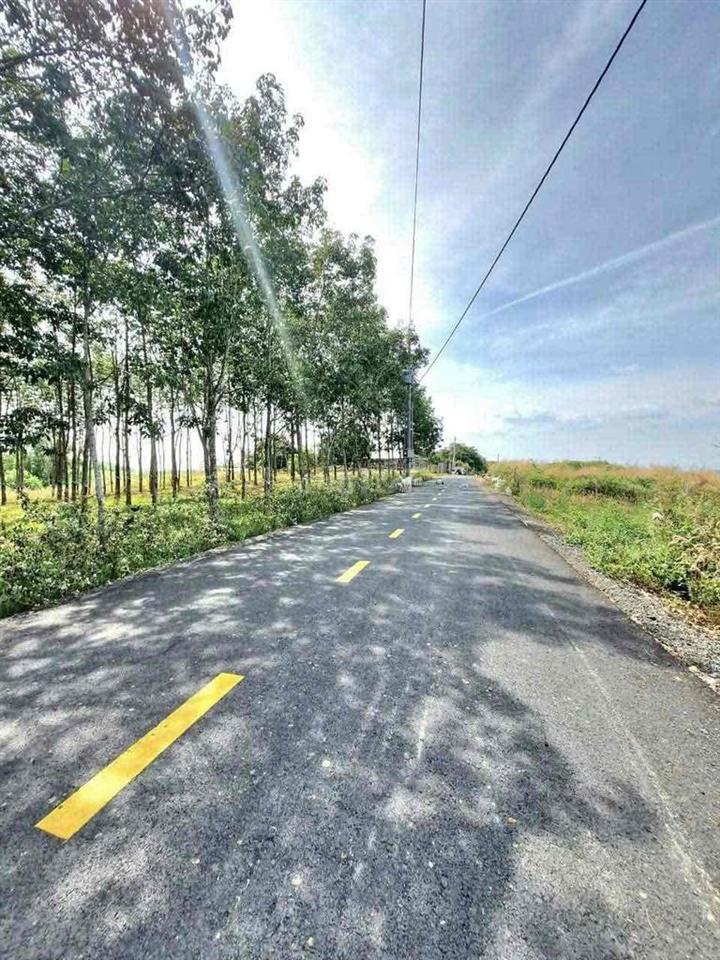 Bán đất tại Xã Hòa Hội, TPHCM. Gần nhà thờ Hòa Xuân, VP Công chứng Hoà