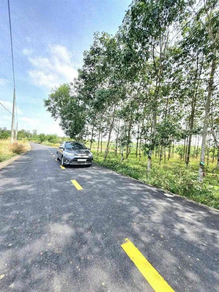 Bán đất tại Xã Hòa Hội, TPHCM. Gần nhà thờ Hòa Xuân, VP Công chứng Hoà