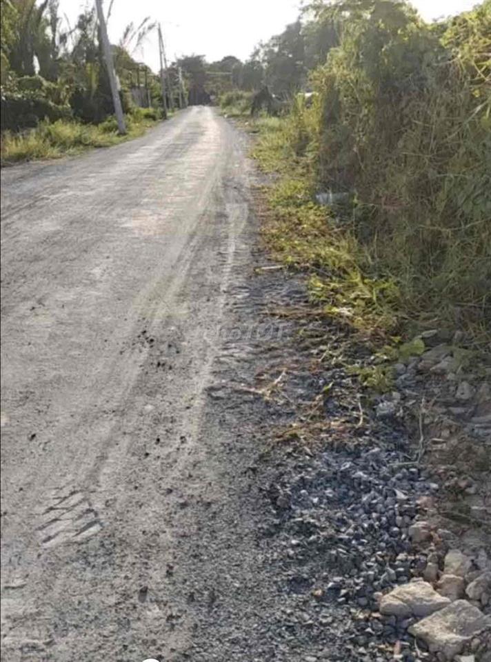 ĐẤT MẶT TIỀN 5544m2 ĐƯỜNG XƯƠNG CÁ 1 - XÃ BÌNH HƯNG (BC).