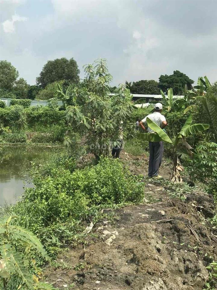 ĐẤT MẶT TIỀN 5544m2 ĐƯỜNG XƯƠNG CÁ 1 - XÃ BÌNH HƯNG (BC).