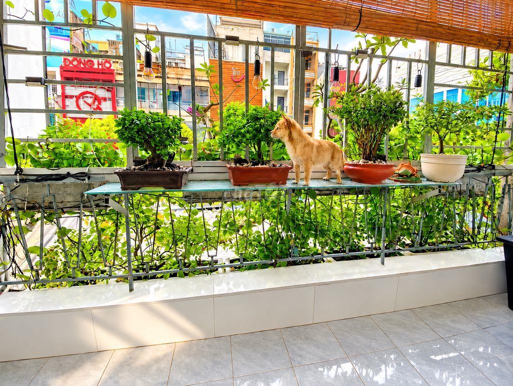 🔥 CĂN GÓC ĐẸP - CHUNG CƯ ĐINH TIÊN HOÀNG - 99M² - CHỈ 16TR/THÁNG 🔥
