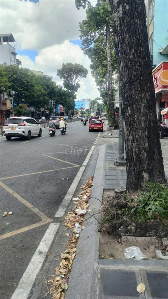 nhà cho thuê
