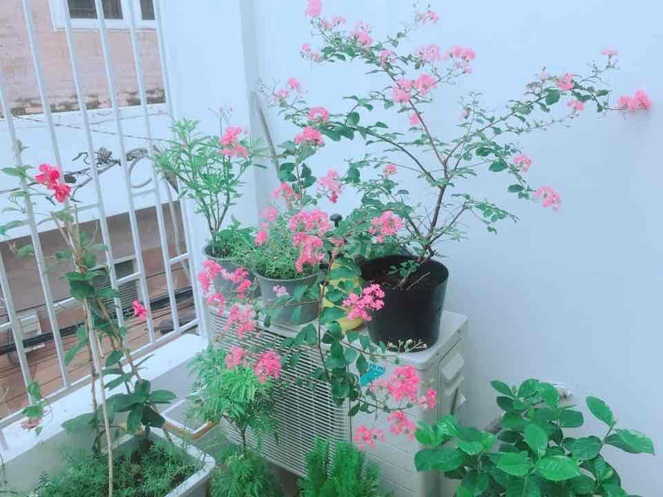 🏠 KTX NAM – CHUẨN 3 SAO | Q10 ✨ FULL NỘI THẤT – SẠCH ĐẸP – TIỆN NGHI