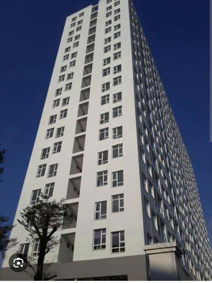 Cần Cho Thuê Chung Cư Hoa Sen Đường Lạc Long Quân Q 11