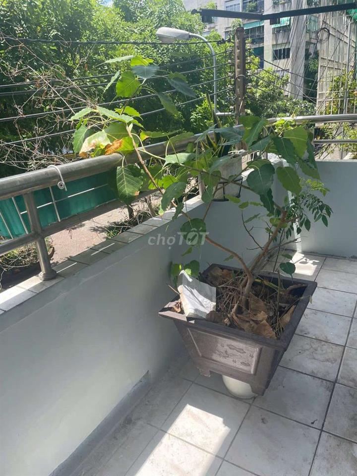Cho thuê CHCC Bình Thới, P8, Q11/ Lầu 1 Lô C, nhà 17 Lãnh Binh Thăng