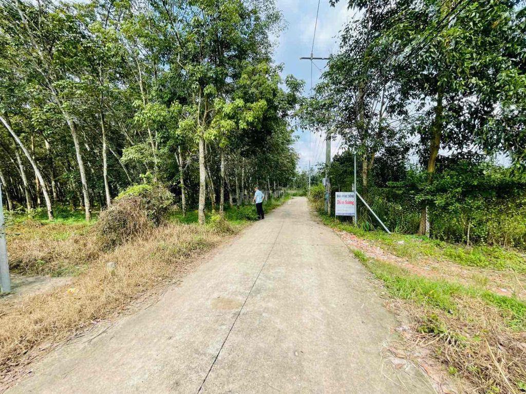 Bán Lô Đất 250m2 Sát Đường DT749A-Cách TP Bến Cát 4km-Thổ Cư 100m