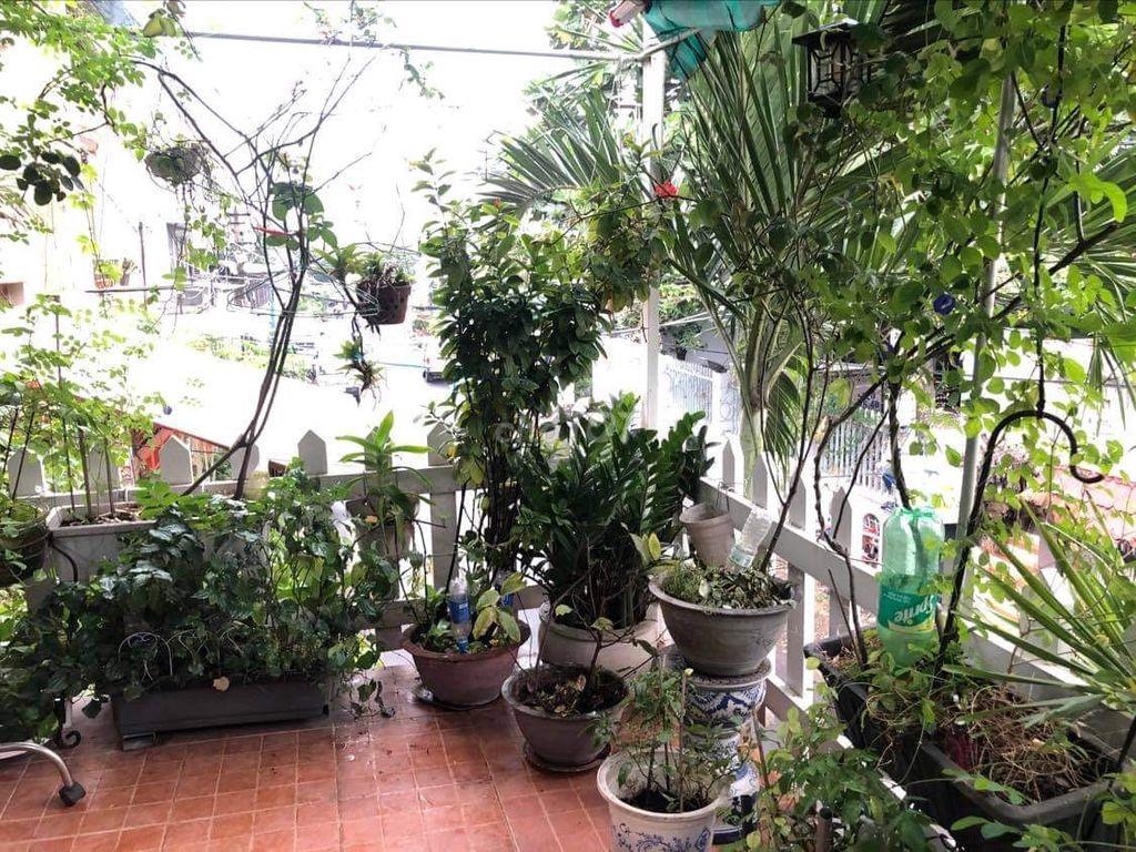 Cư xá Lữ Gia,1 lầu, đường 8m, an ninh, view đẹp