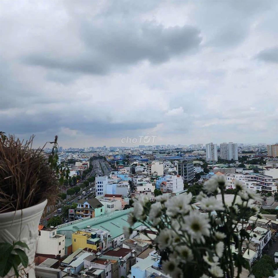 cho thuê chung cư kim tâm hải