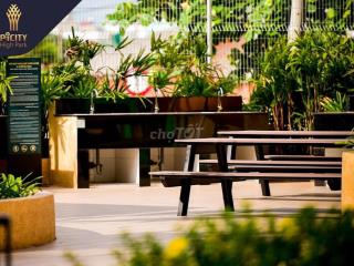 PiCity Q12, 2.39Ty 50-80m2 nhận nhà liền, liền kề GV