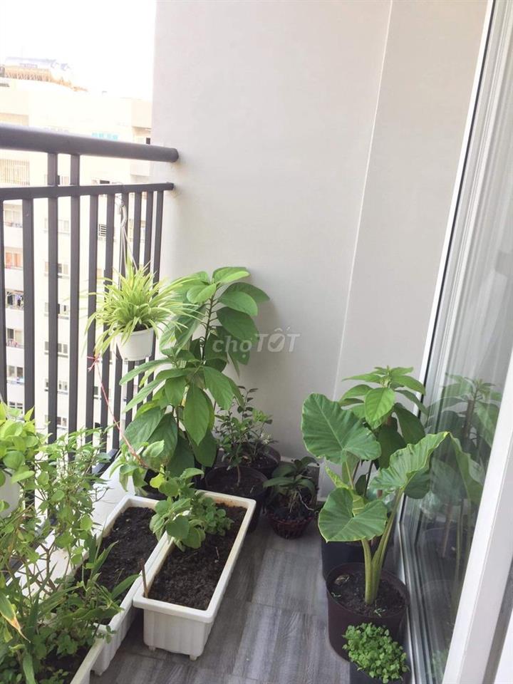 Hiệp Thành Building 2PN lô cao cấp, từ 1.95 tỷ, 56m2, MT Lê Văn Khương