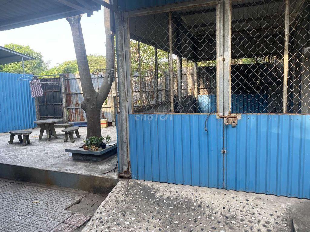 cho   nguyên căn an phú đông quận 12