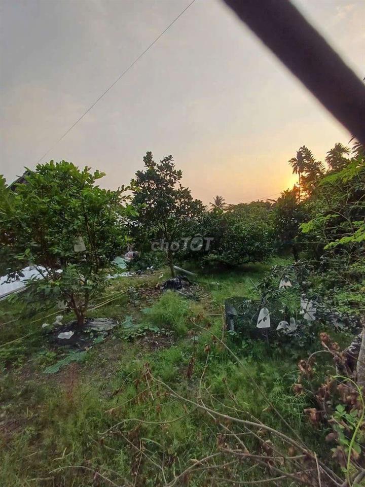 cho thuê kho an phú đông quận 12