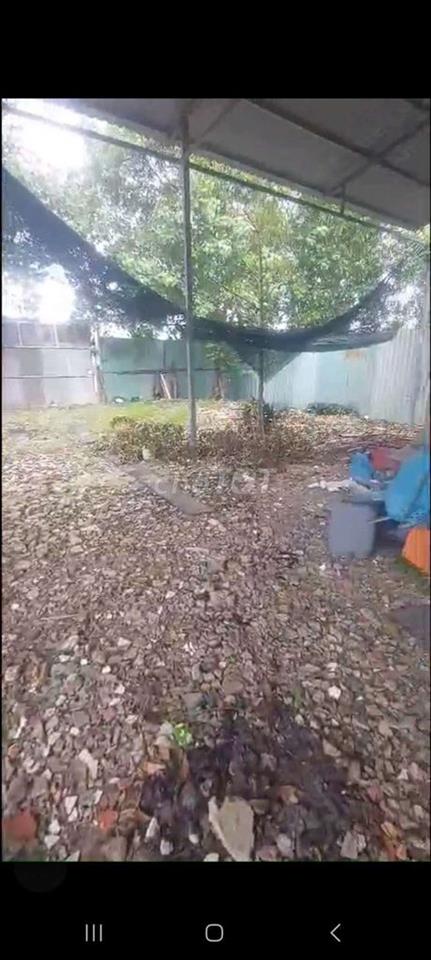 cho thuê mb kinh danh an phú đông quận 12