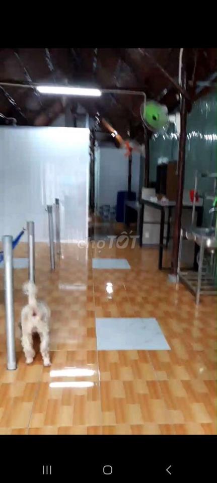 cho thuê nhà nguyên căn an phú đông vườn lài quận 12