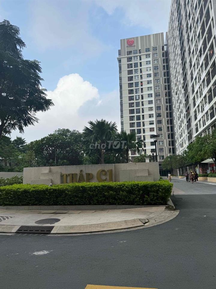 cho thuê căn hộ Picity