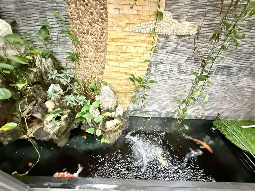 Nhà Phố 6m x 20m. 3 Tầng Thang Máy Đường Trương Thị Hoa ( Ngay Metro)