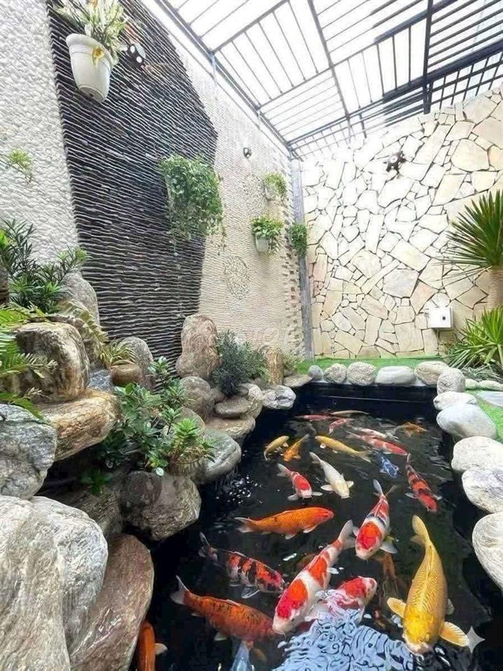 Siêu Phẩm hồ cá Koi đẹp mê  4m x 17m. 4 Tầng Đường Thạnh Xuân 25