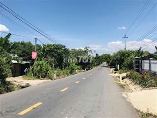 CẦN TIỀN BÁN GẤP NHÀ VƯỜN BƯỞI ĐANG THU HOẠCH